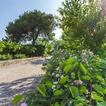 בית נופש Midori-an 緑庵 - The Garden