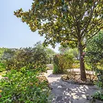 Midori-an 緑庵 - The Garden *
