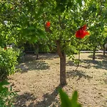 Midori-an 緑庵 - The Garden בית נופש *
