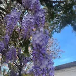 בית נופש Midori-an 緑庵 - The Garden מאלייה