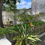 Midori-an 緑庵 - The Garden