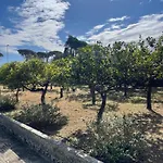 בית נופש Midori-an 緑庵 - The Garden *