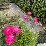 בית נופש Midori-an 緑庵 - The Garden *