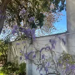 Midori-an 緑庵 - The Garden * מאלייה