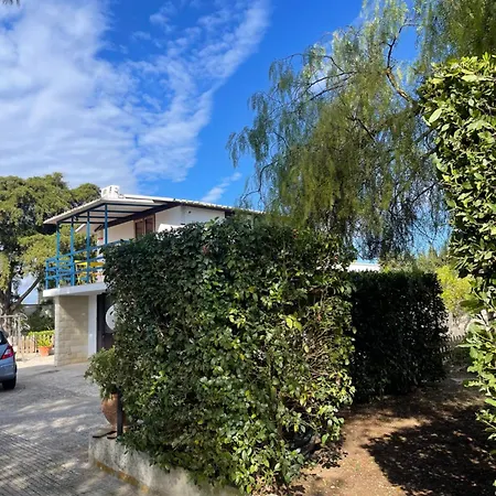 בית נופש Midori-an 緑庵 - The Garden