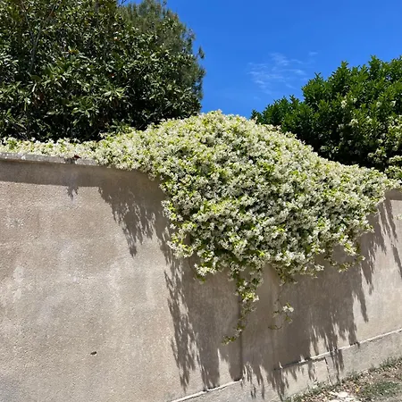 Midori-an 緑庵 - The Garden בית נופש *