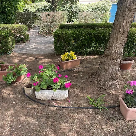 Midori-an 緑庵 - The Garden מאלייה