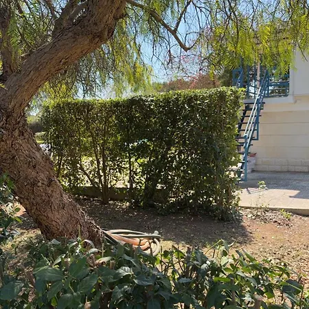 Midori-an 緑庵 - The Garden מאלייה