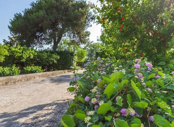 Tatil Evi Midori-an 緑庵 - The Garden