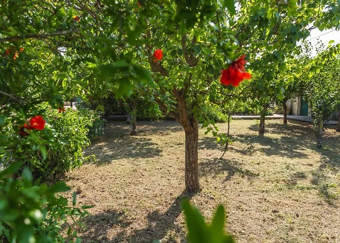 Midori-an 緑庵 - The Garden Tatil Evi *