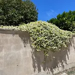 Midori-an 緑庵 - The Garden Nyaraló *