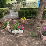Midori-an 緑庵 - The Garden Maglie