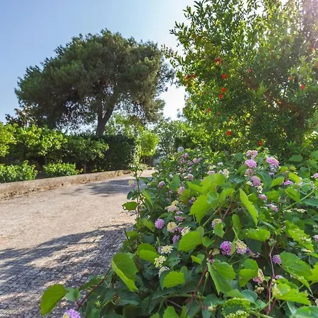 Holiday home Midori-an 緑庵 - The Garden