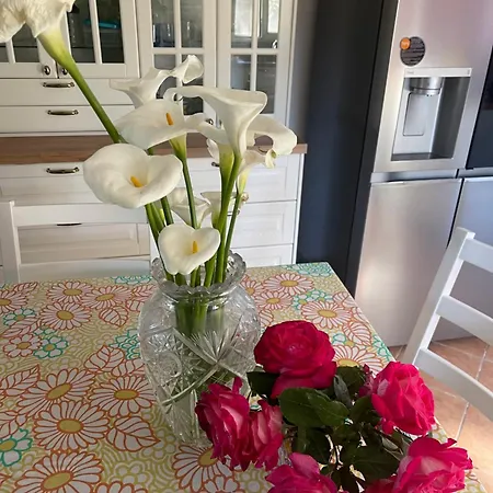 Holiday home Midori-an 緑庵 - The Garden Maglie