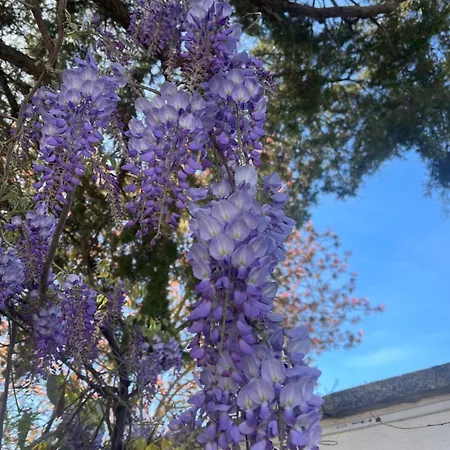 Holiday home Midori-an 緑庵 - The Garden Maglie
