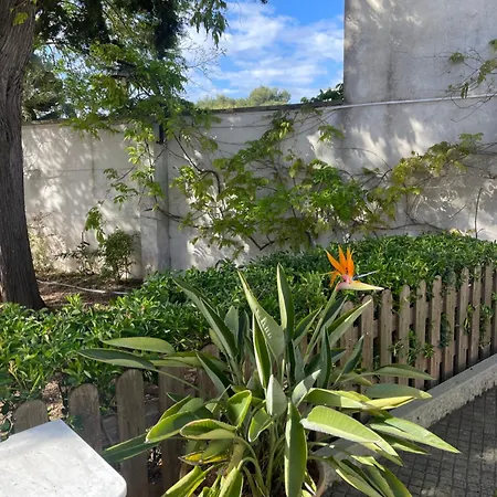 Midori-an 緑庵 - The Garden