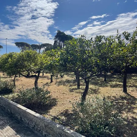 펜션 Midori-an 緑庵 - The Garden *