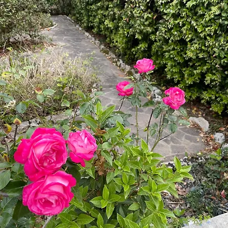 Holiday home Midori-an 緑庵 - The Garden *
