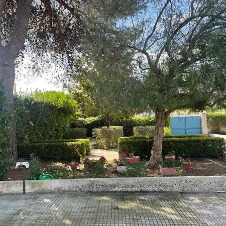 Midori-an 緑庵 - The Garden