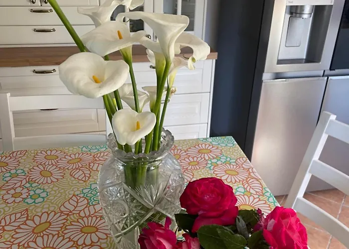 Vakantiehuis Midori-an 緑庵 - The Garden Maglie