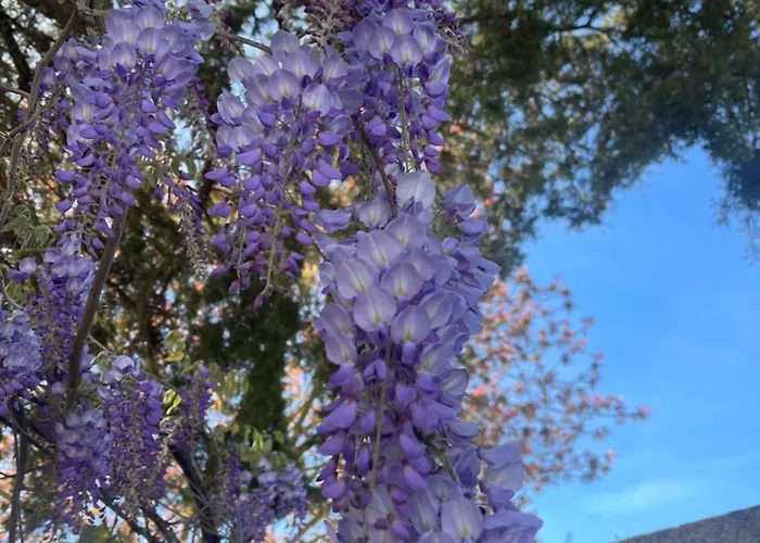 Vakantiehuis Midori-an 緑庵 - The Garden Maglie