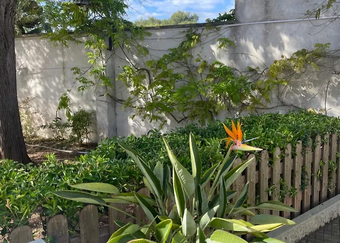 Midori-an 緑庵 - The Garden