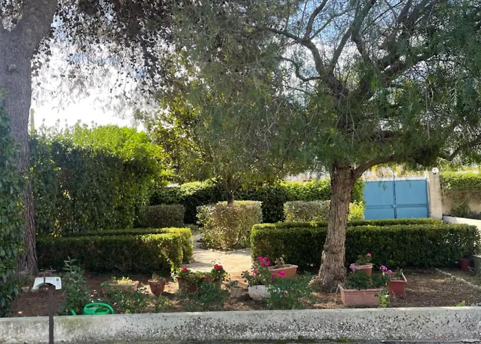 Midori-an 緑庵 - The Garden