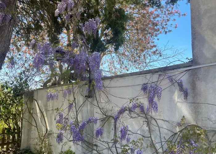 Midori-an 緑庵 - The Garden * Maglie