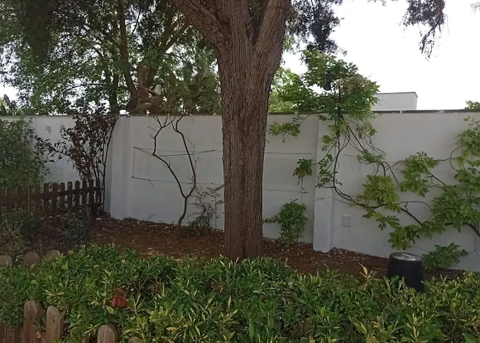 Midori-an 緑庵 - The Garden *