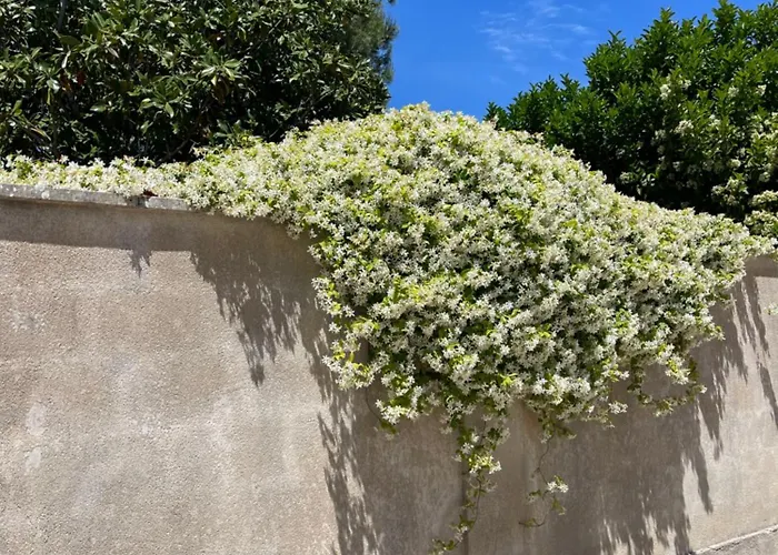 Midori-an 緑庵 - The Garden Vakantiehuis *