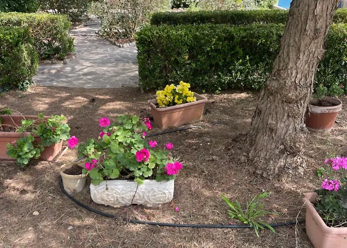 Midori-an 緑庵 - The Garden Maglie